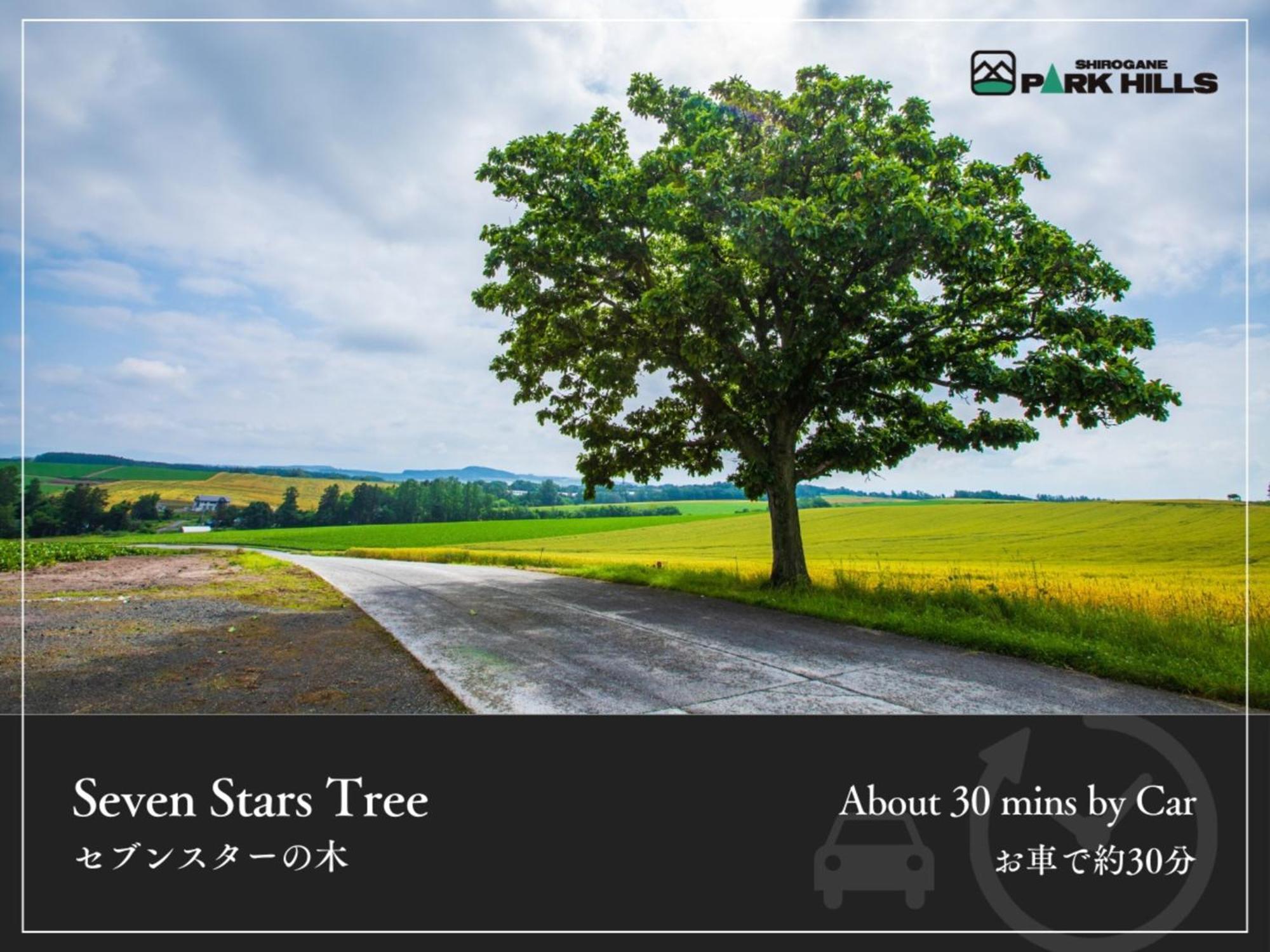 Biei Shirogane Onsen Hotel Park Hills Exterior foto